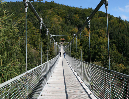 218 Meter ist sie lang: Die Seilbrücke im Steinwasenpark bei Oberried. Foto: Steinwasenpark 218 Meter ist sie lang: Die Seilbrücke im Steinwasenpark bei Oberried. Foto: Steinwasenpark
