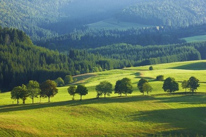 Lichtdurchflutet: Wiesenlandschaft im Bernauer Hochtal vom Panoramaweg aus. Foto Erich Spiegelhalter Lichtdurchflutet: Wiesenlandschaft im Bernauer Hochtal vom Panoramaweg aus. Foto Erich Spiegelhalter