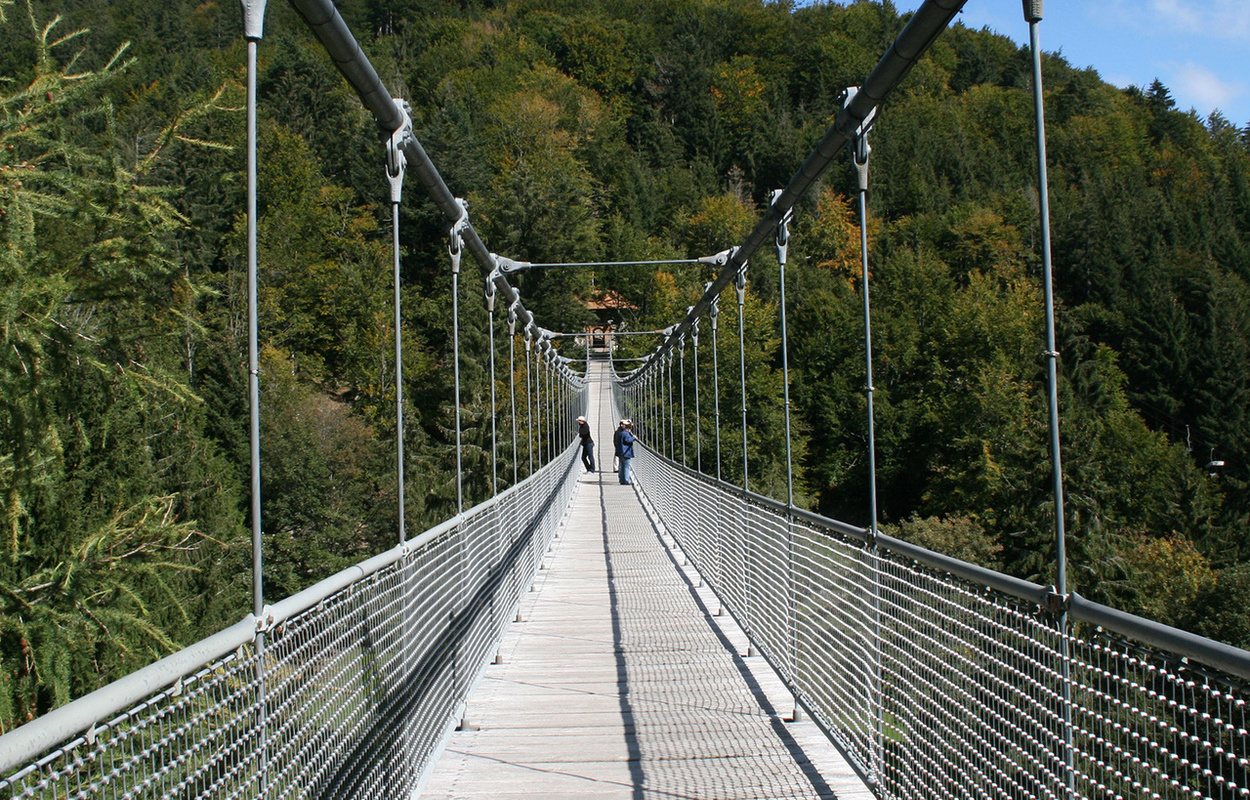 Die Hängebrücke im Steinwasenpark bei Oberried. Foto: Steinwasenpark Die Hängebrücke im Steinwasenpark bei Oberried. Foto: Steinwasenpark