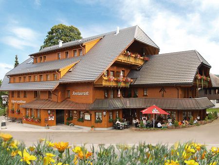 Schwarzwaldhaus Naturparkhotel ***S Schwarzwaldhaus Naturparkhotel ***S